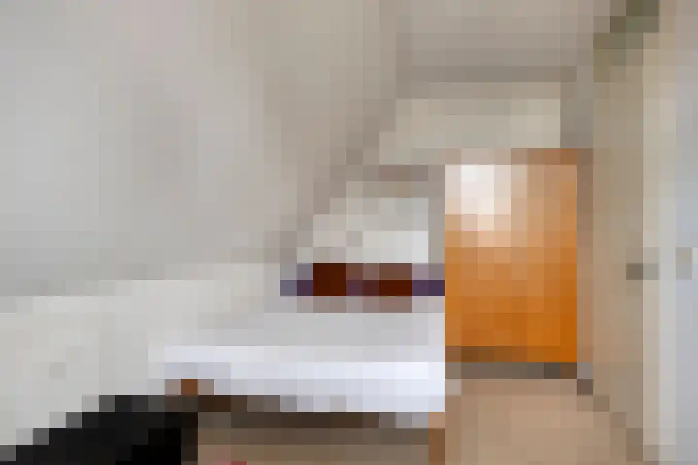 Wierbalg 2814 Julianadorp thumbnail 19