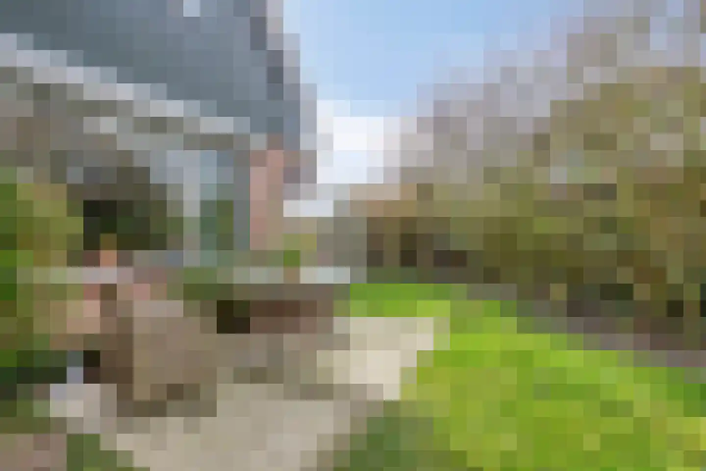 Wierbalg 2814 Julianadorp thumbnail 22