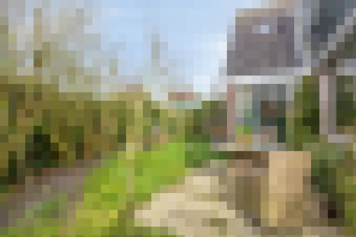 Wierbalg 2814 Julianadorp thumbnail 23