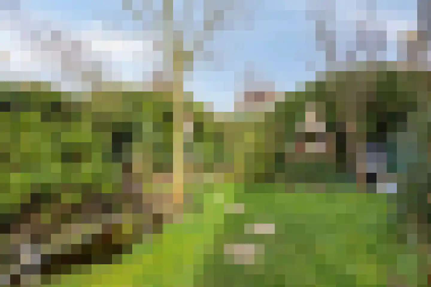 Wierbalg 2814 Julianadorp thumbnail 24