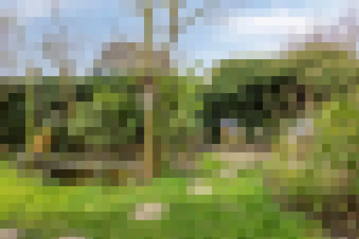 Wierbalg 2814 Julianadorp thumbnail 25