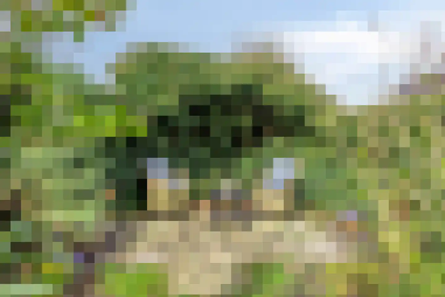 Wierbalg 2814 Julianadorp thumbnail 26