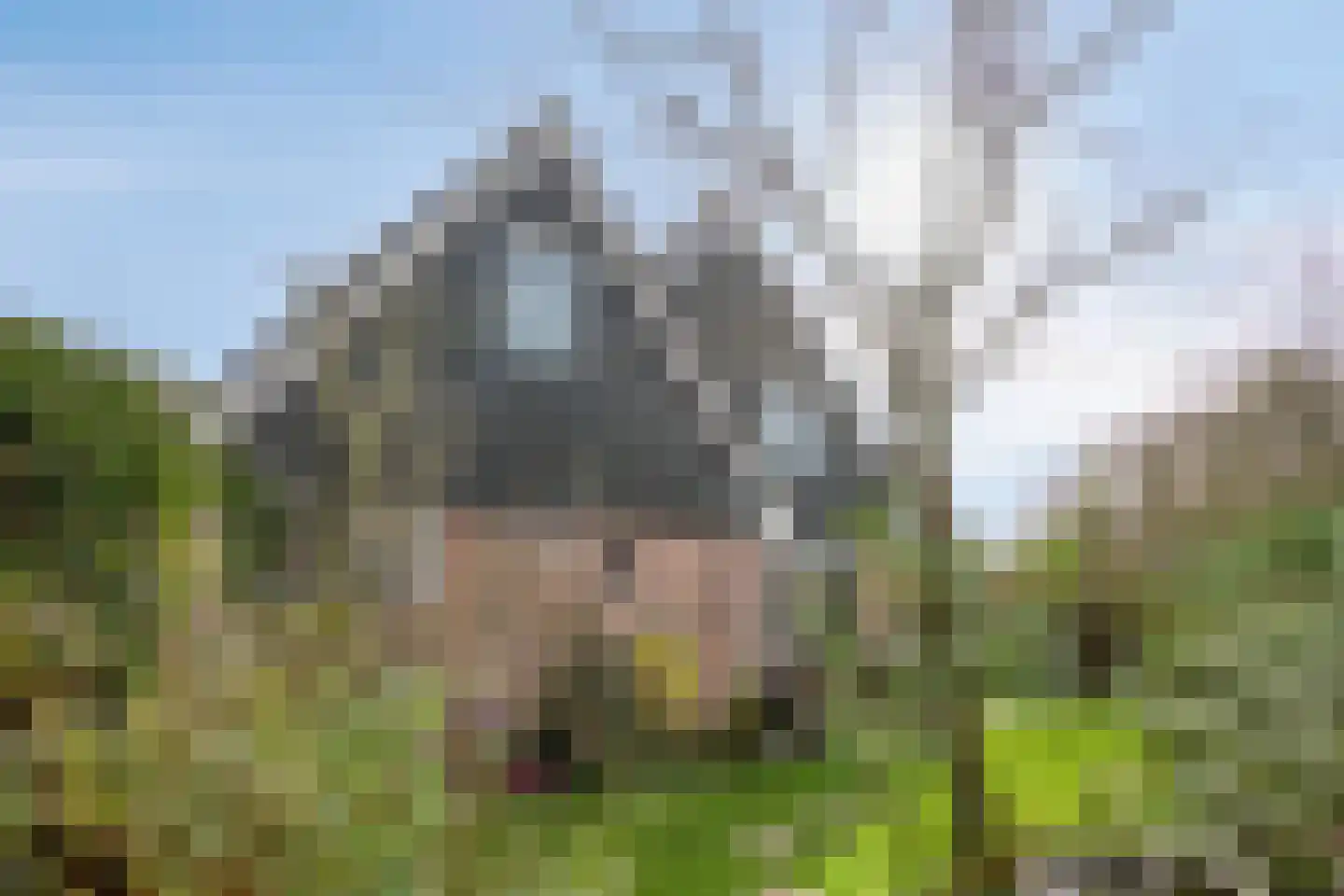 Wierbalg 2814 Julianadorp thumbnail 28