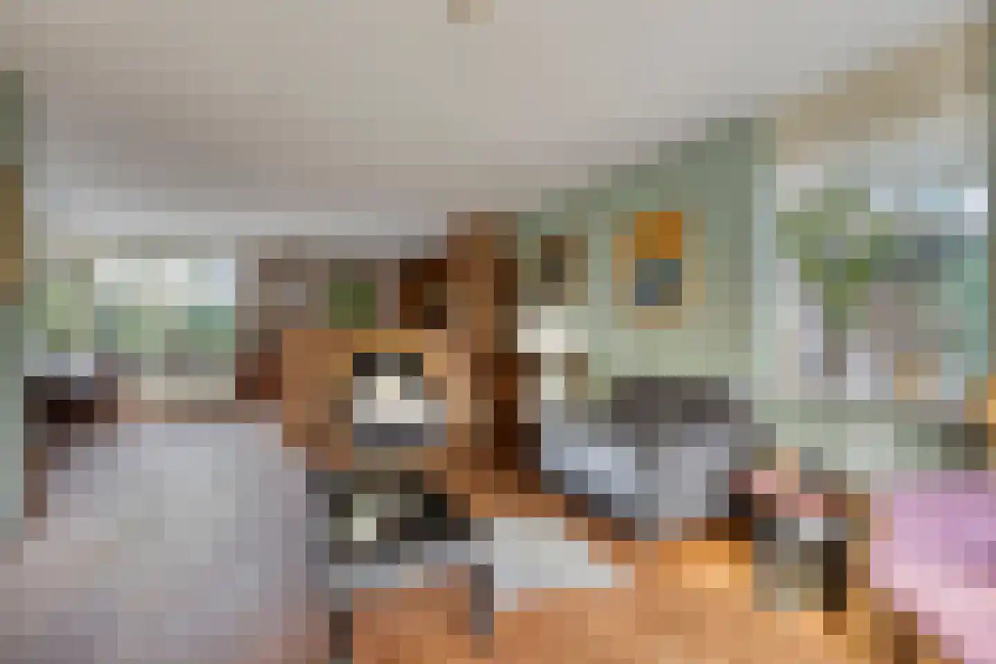 Wierbalg 2814 Julianadorp thumbnail 7