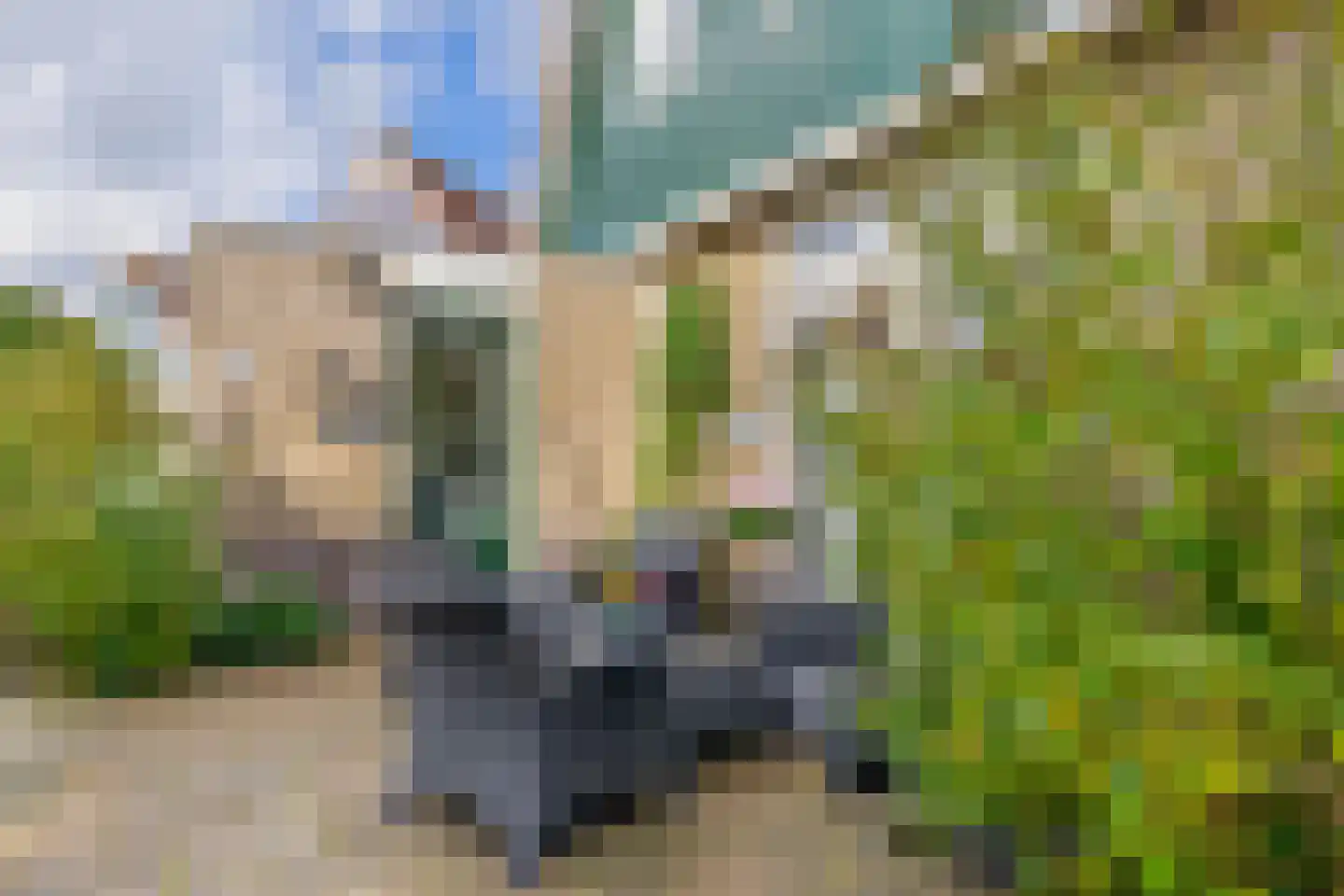 Wierbalg 2906 Julianadorp thumbnail 12