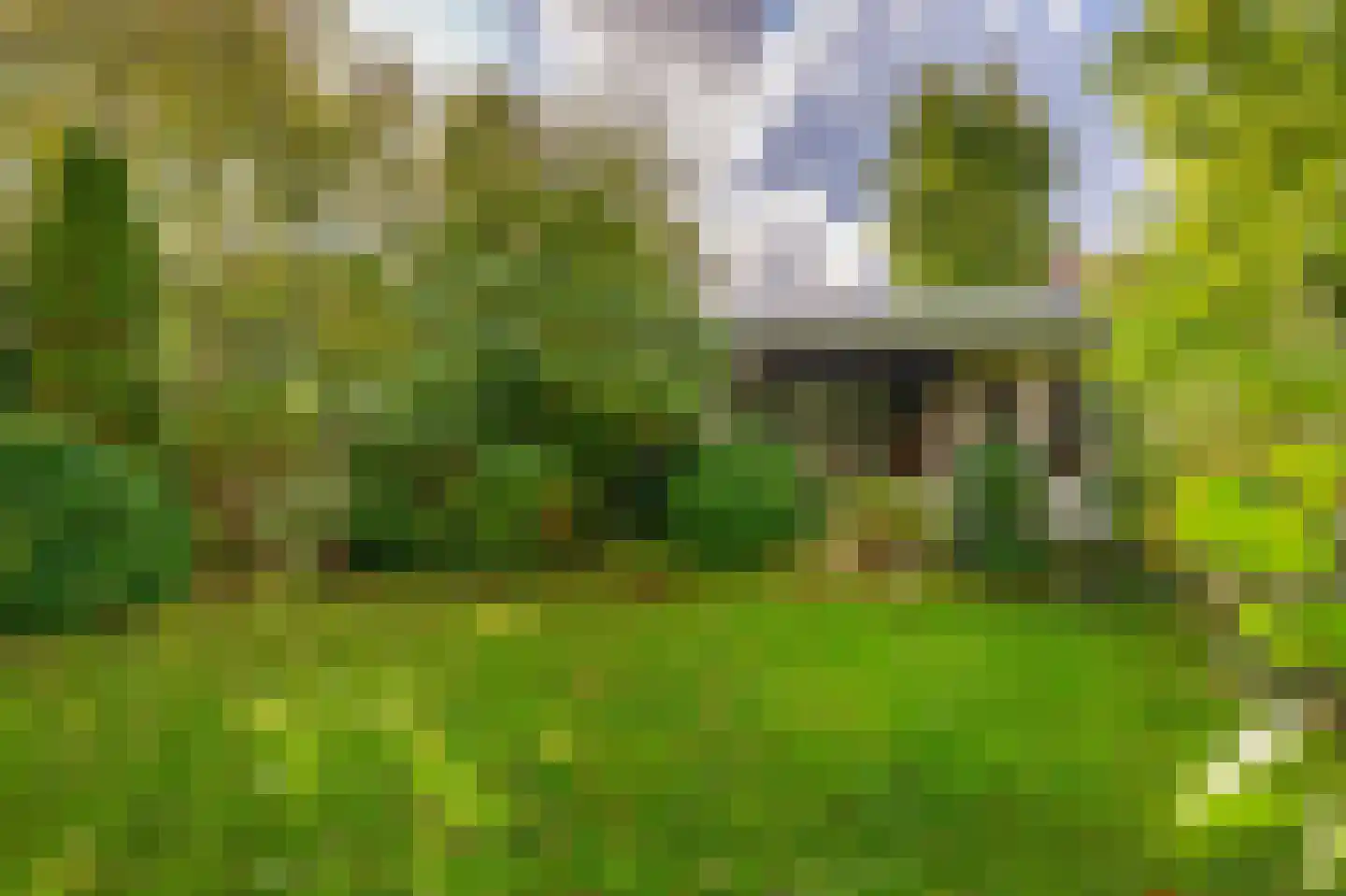Wierbalg 2906 Julianadorp thumbnail 15