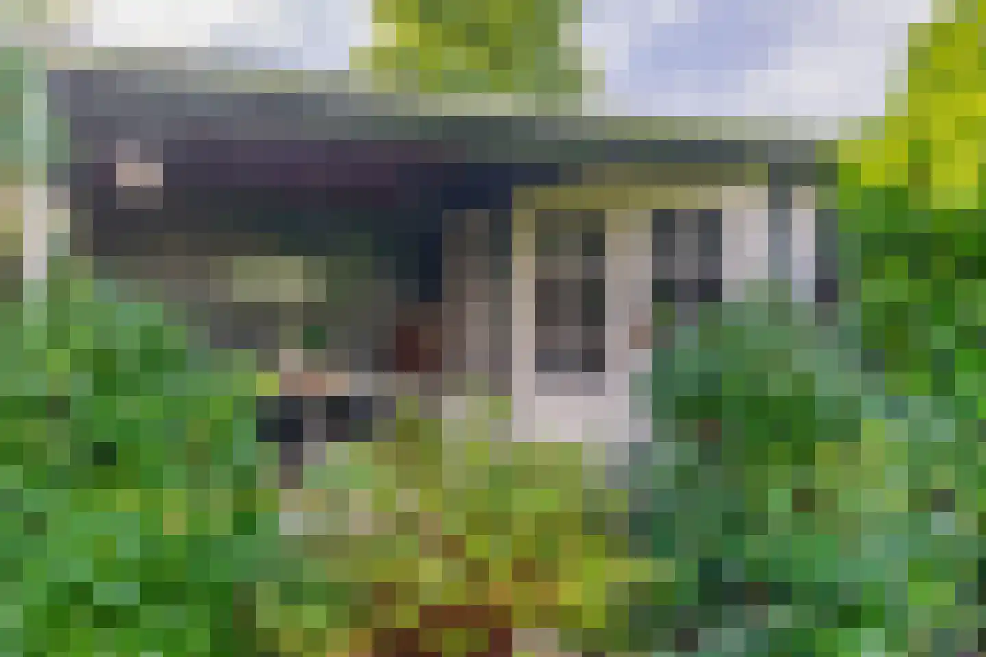 Wierbalg 2906 Julianadorp thumbnail 16