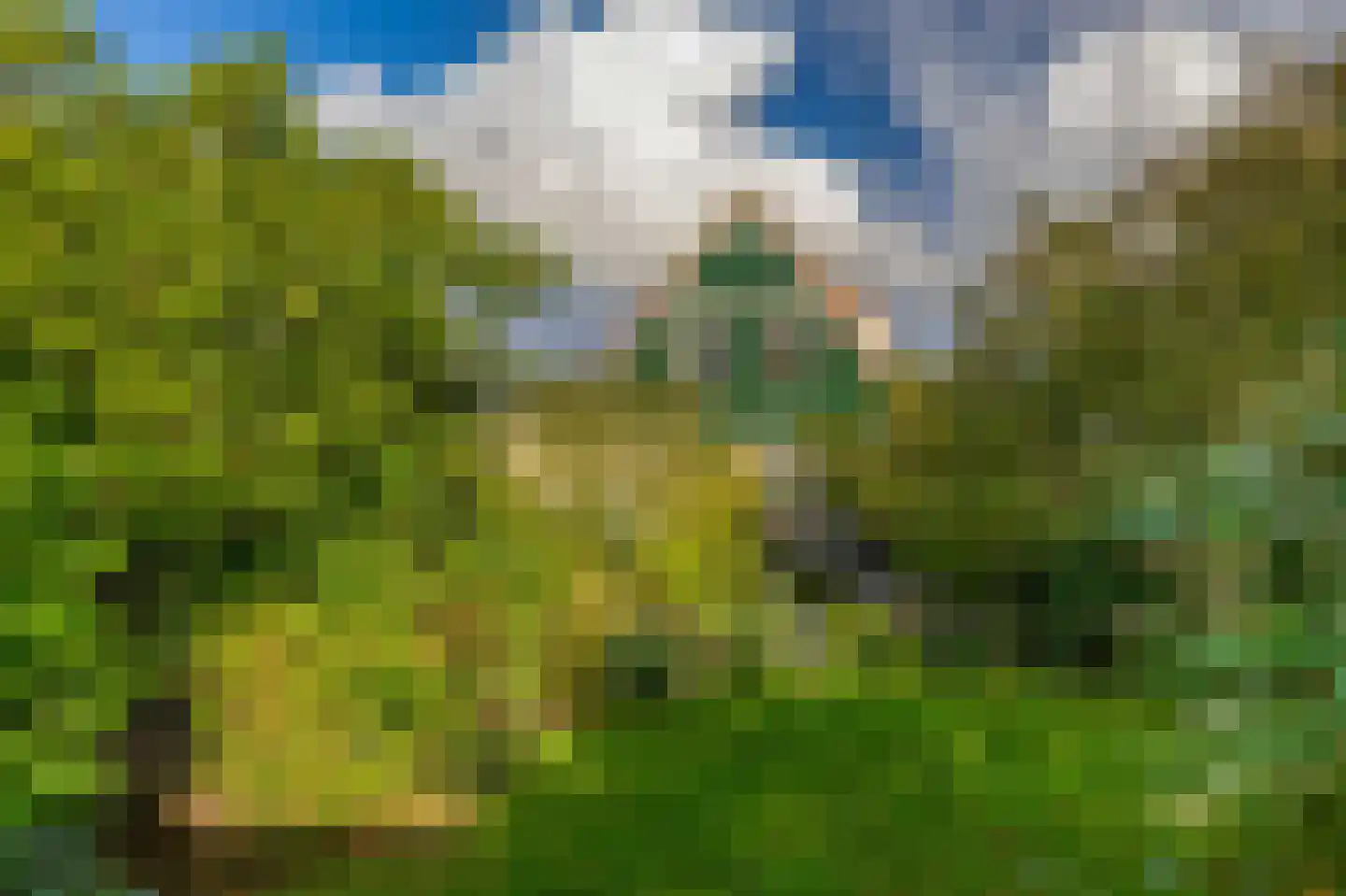 Wierbalg 2906 Julianadorp thumbnail 18