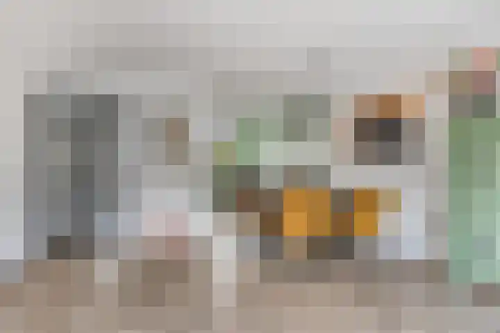Wierde 13 Hendrik-Ido-Ambacht thumbnail 12