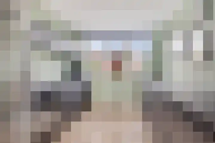 Wierde 13 Hendrik-Ido-Ambacht thumbnail 13