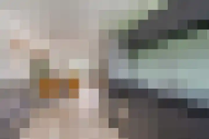 Wierde 13 Hendrik-Ido-Ambacht thumbnail 15