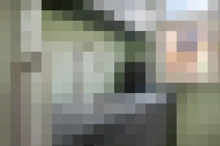 Wierde 13 Hendrik-Ido-Ambacht thumbnail 16