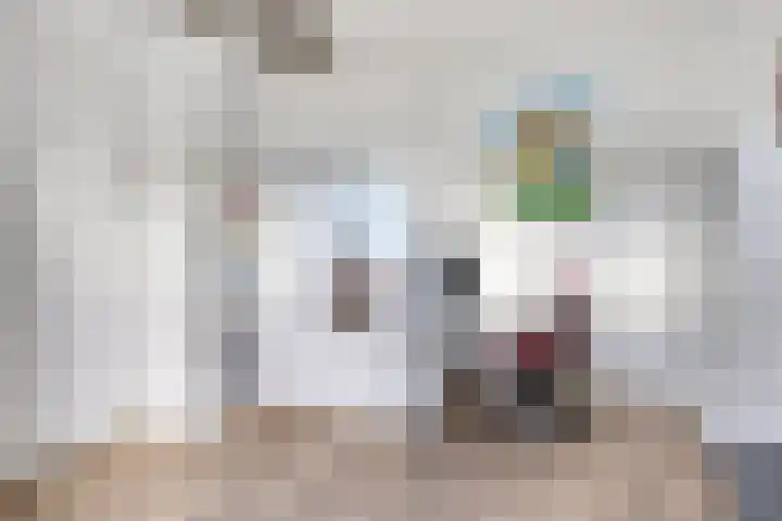 Wierde 13 Hendrik-Ido-Ambacht thumbnail 30