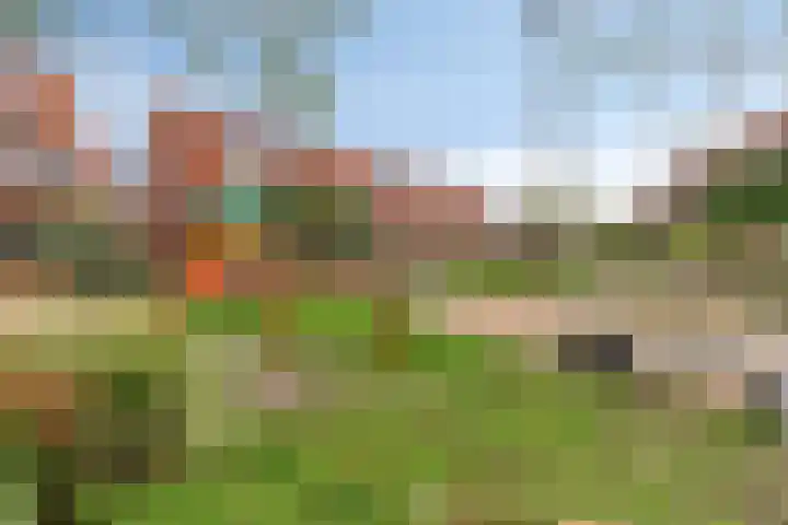 Wierde 13 Hendrik-Ido-Ambacht thumbnail 38