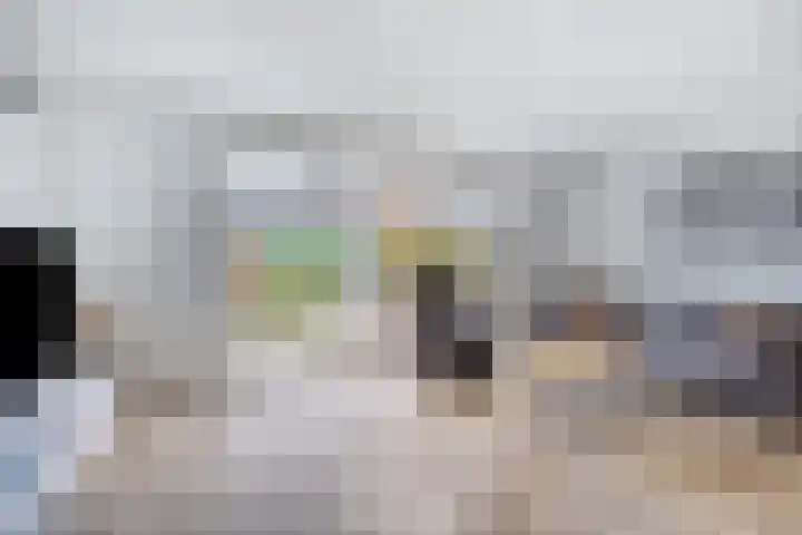 Wierde 13 Hendrik-Ido-Ambacht thumbnail 9