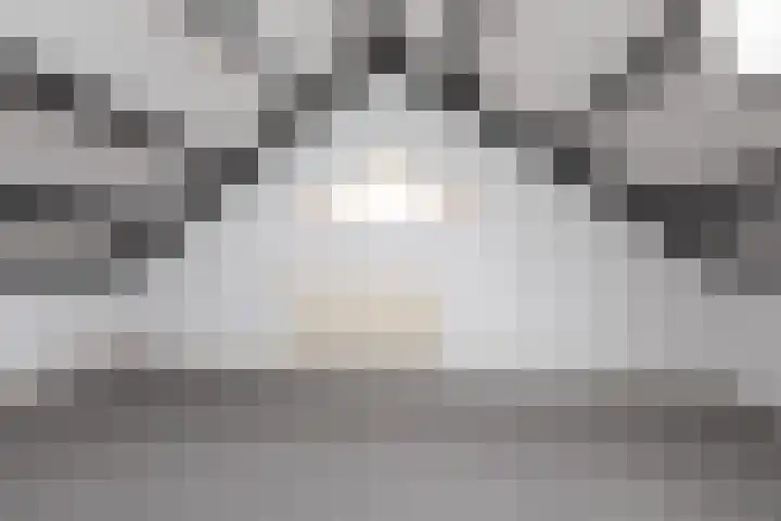 Wierde 26 Sneek thumbnail 33
