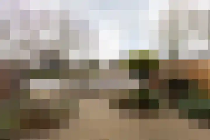 Wierde 26 Sneek thumbnail 42