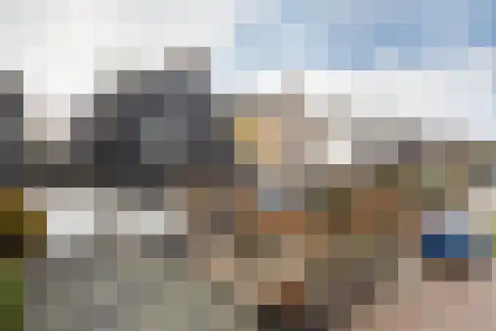 Wierde 26 Sneek thumbnail 45