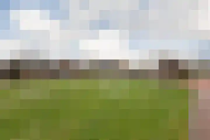 Wierde 26 Sneek thumbnail 47
