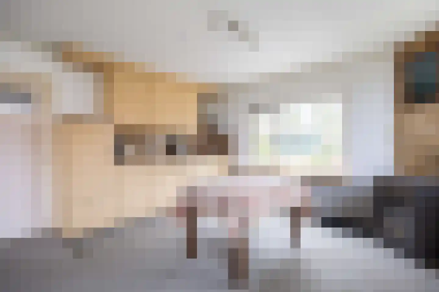 Wierde 29 Leens thumbnail 13