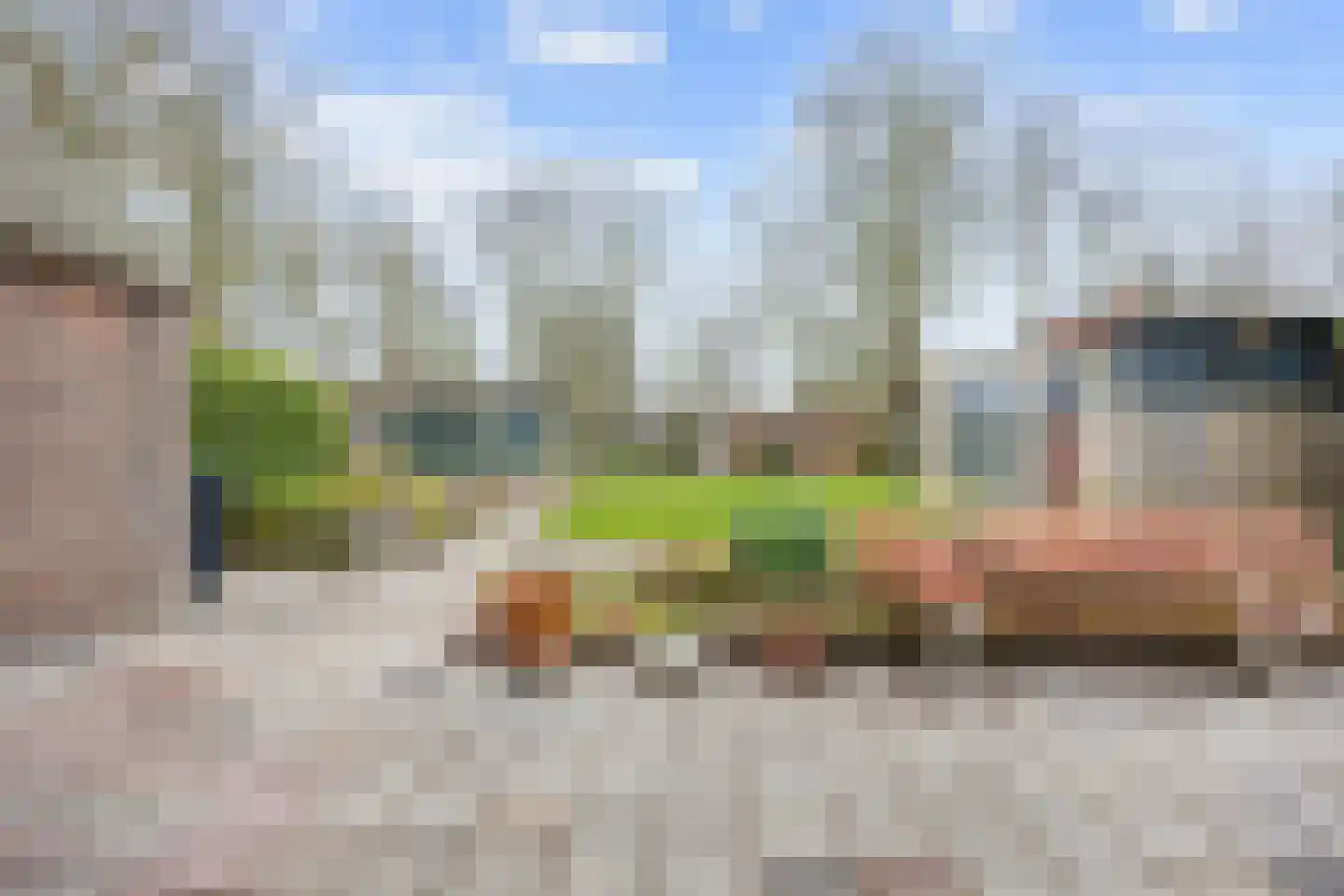Wierde 29 Leens thumbnail 30