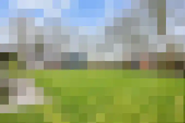 Wierde 29 Leens thumbnail 32
