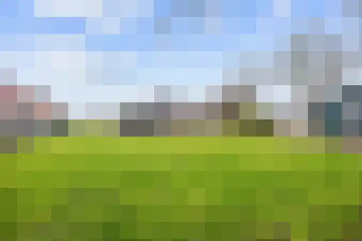 Wierde 29 Leens thumbnail 33