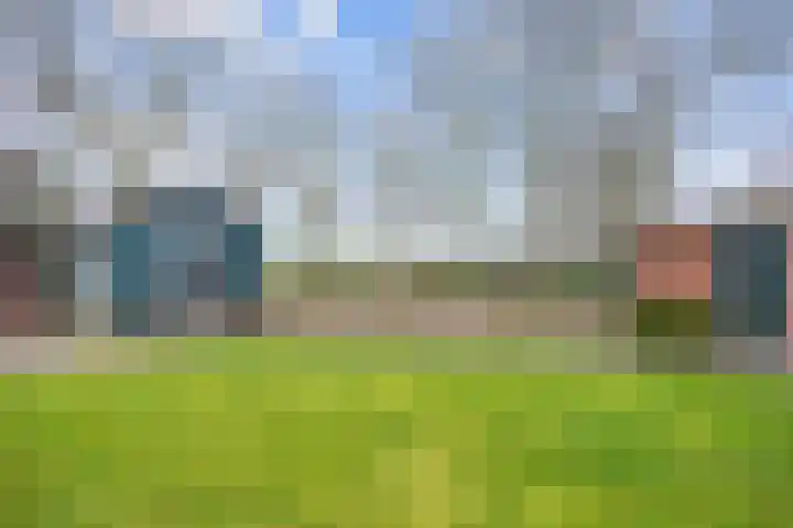 Wierde 29 Leens thumbnail 35
