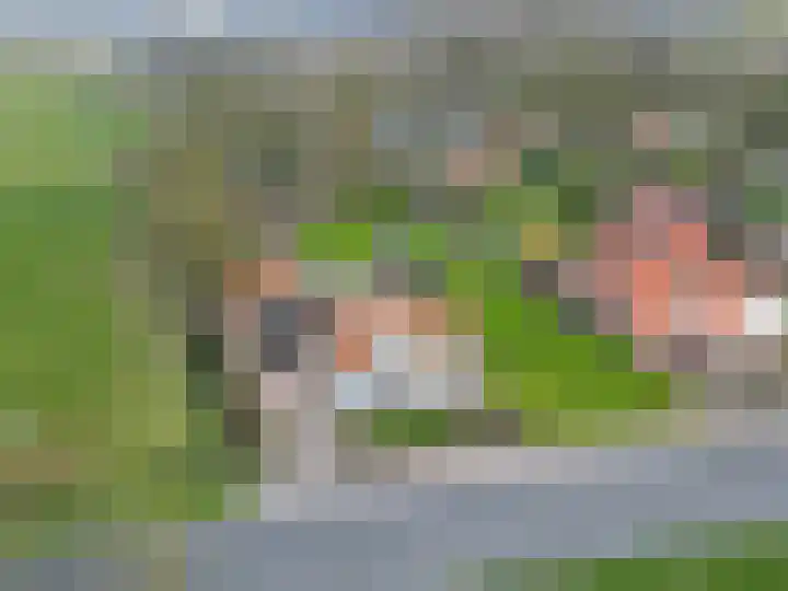 Wierde 29 Leens thumbnail 43