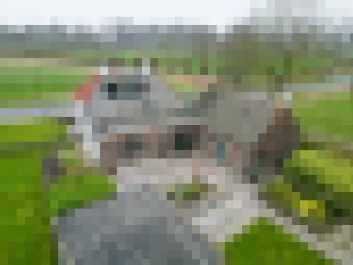 Wierde 29 Leens thumbnail 45