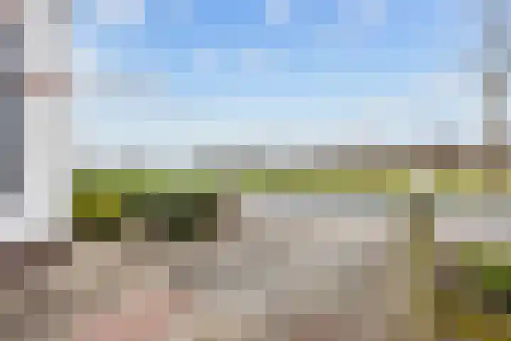Wierde 29 Leens thumbnail 5
