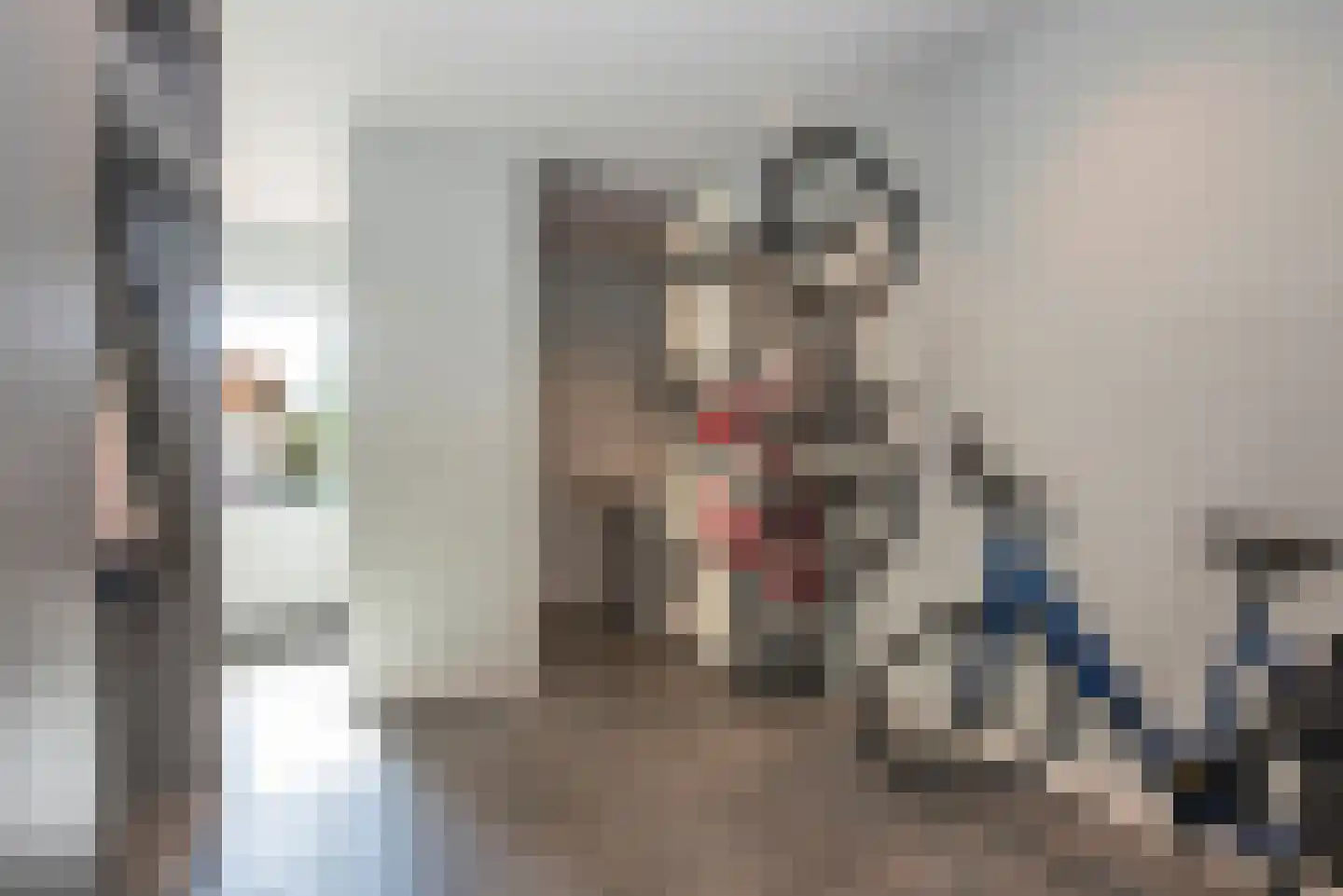 Wierdensestraat 116 Rijssen thumbnail 28