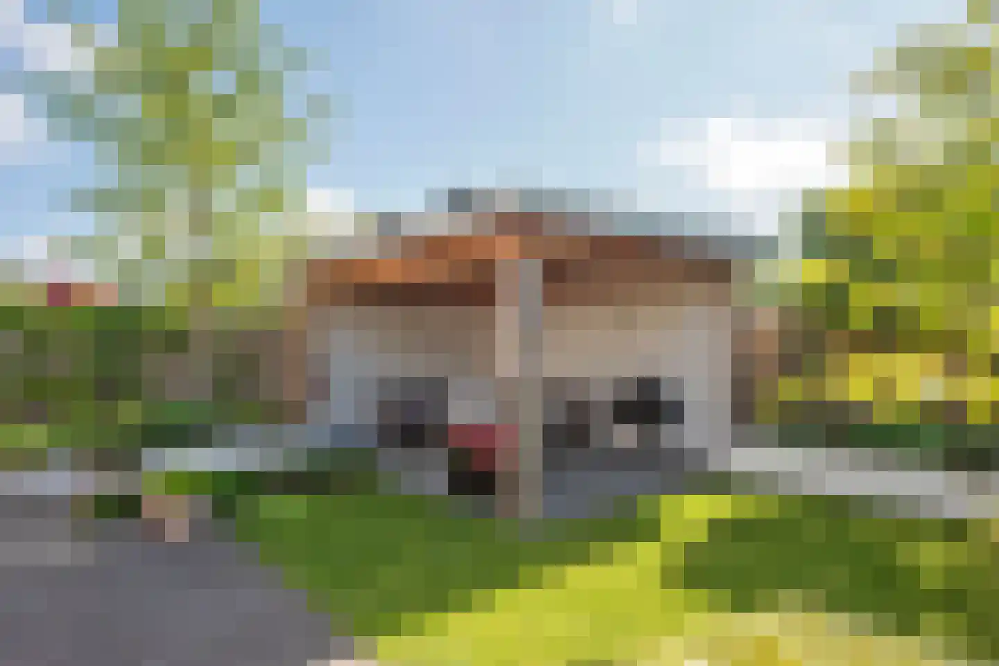 Wierdensestraat 116 Rijssen thumbnail 32