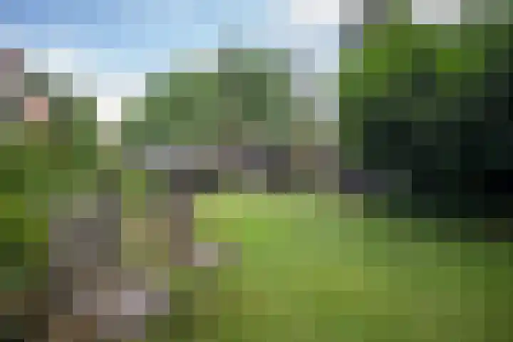 Wierdensestraat 118 Almelo thumbnail 11