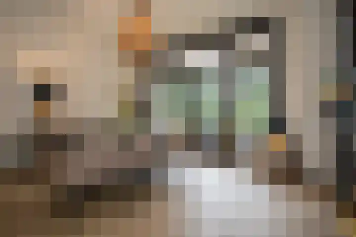 Wierdensestraat 118 Almelo thumbnail 36