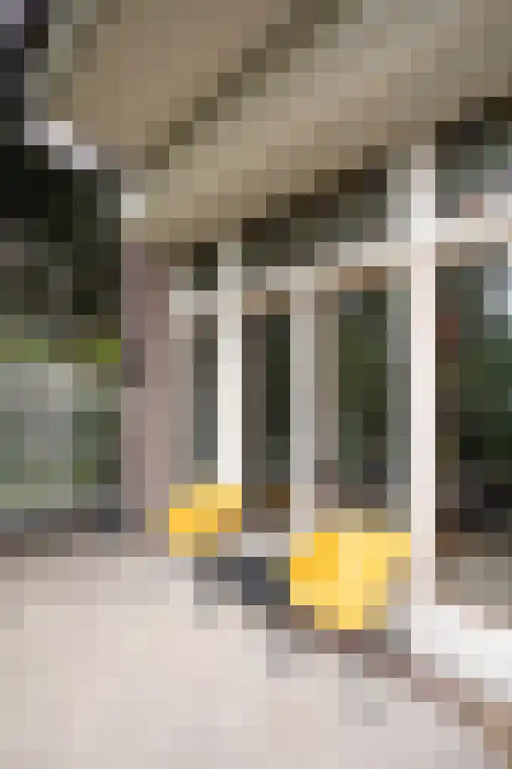 Wierdensestraat 118 Almelo thumbnail 65