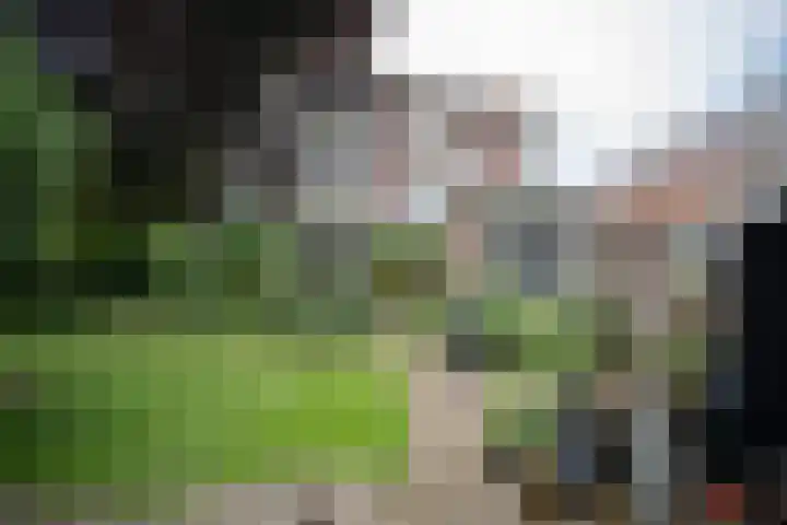 Wierdensestraat 118 Almelo thumbnail 7
