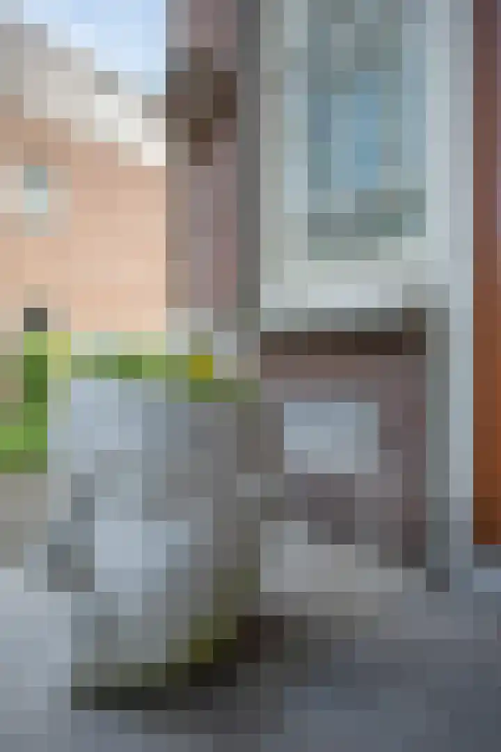 Wierdensestraat 118 Almelo thumbnail 72