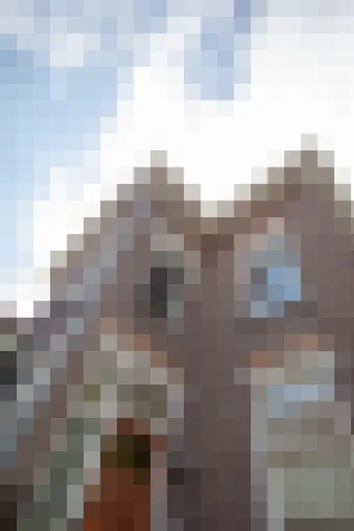 Wierdensestraat 118 Almelo thumbnail 73