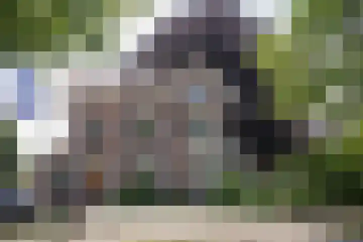Wierdensestraat 118 Almelo thumbnail 8