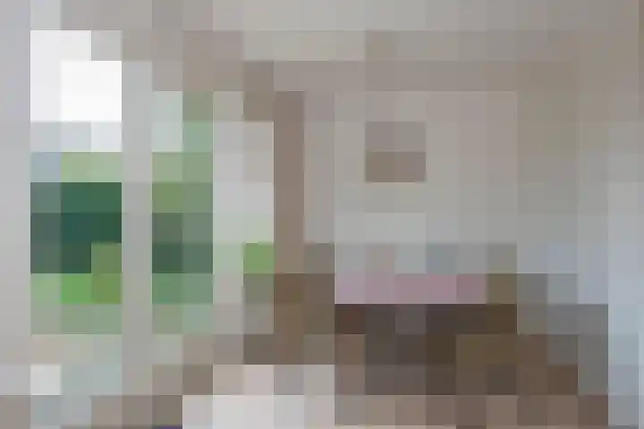 Wierdensestraat 121 B Rijssen thumbnail 16