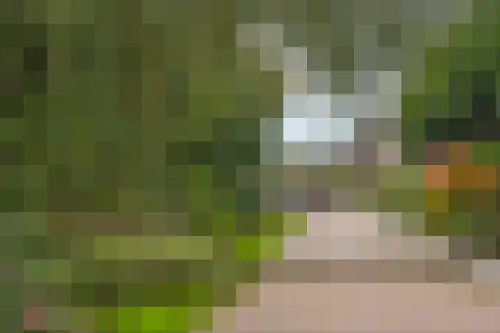 Wierdensestraat 121 B Rijssen thumbnail 6