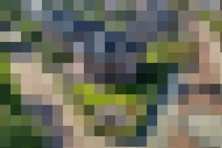Wierdensestraat 121 B Rijssen thumbnail 7