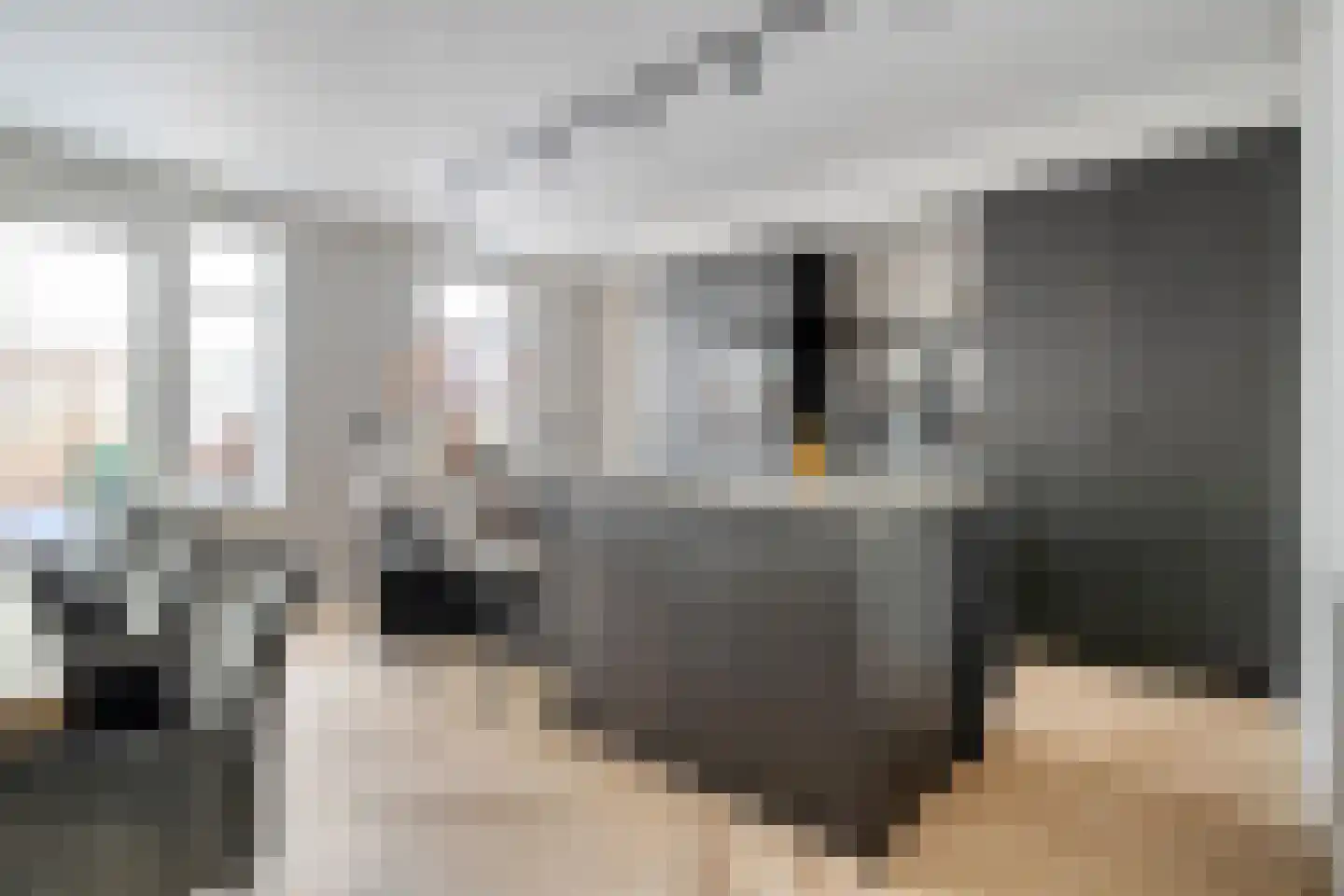Wierdensestraat 121 Rijssen thumbnail 21