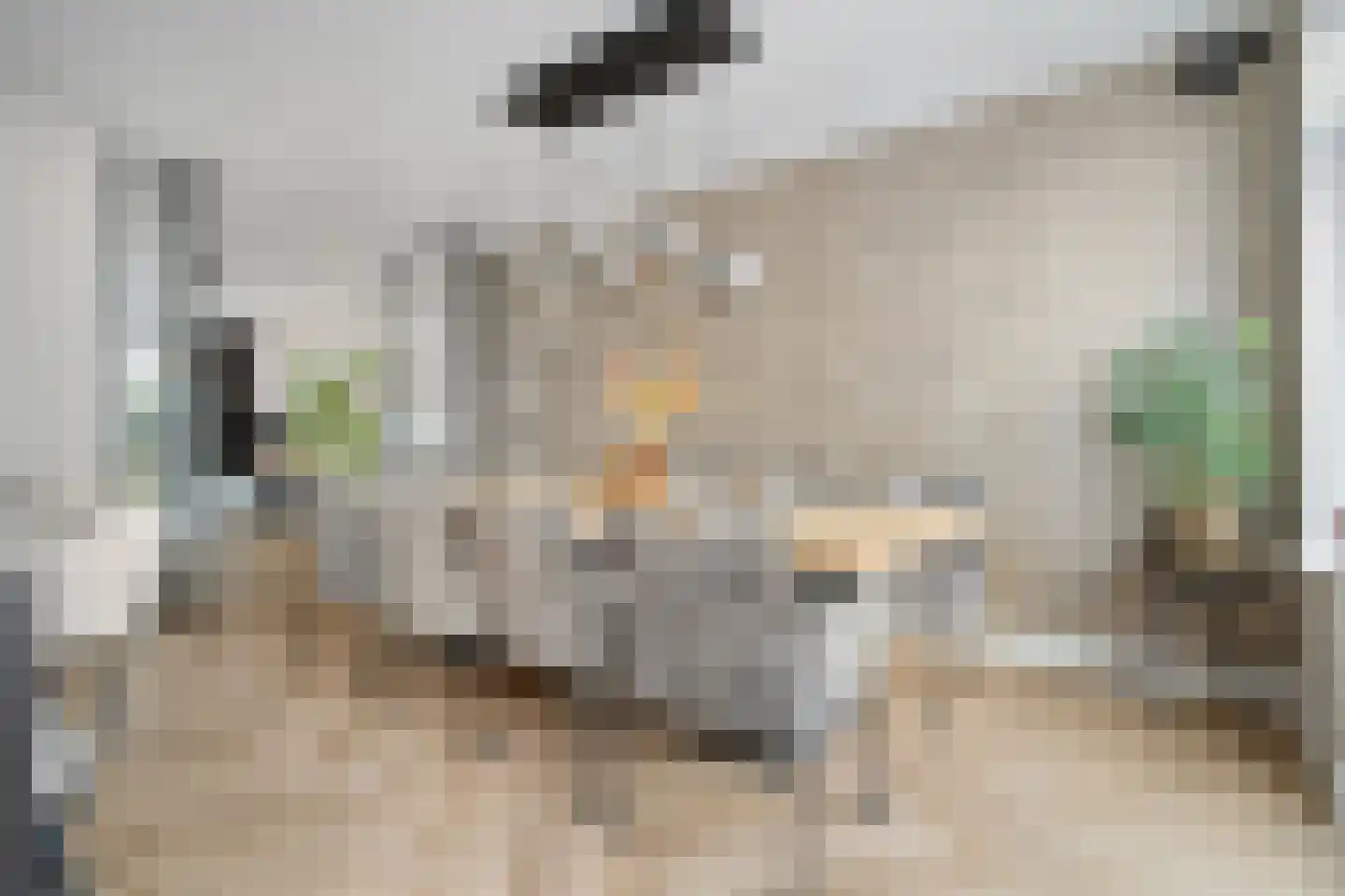 Wierdensestraat 121 Rijssen thumbnail 22