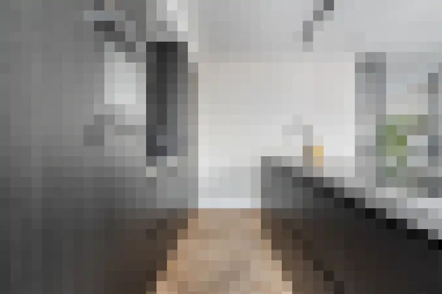 Wierdensestraat 121 Rijssen thumbnail 25