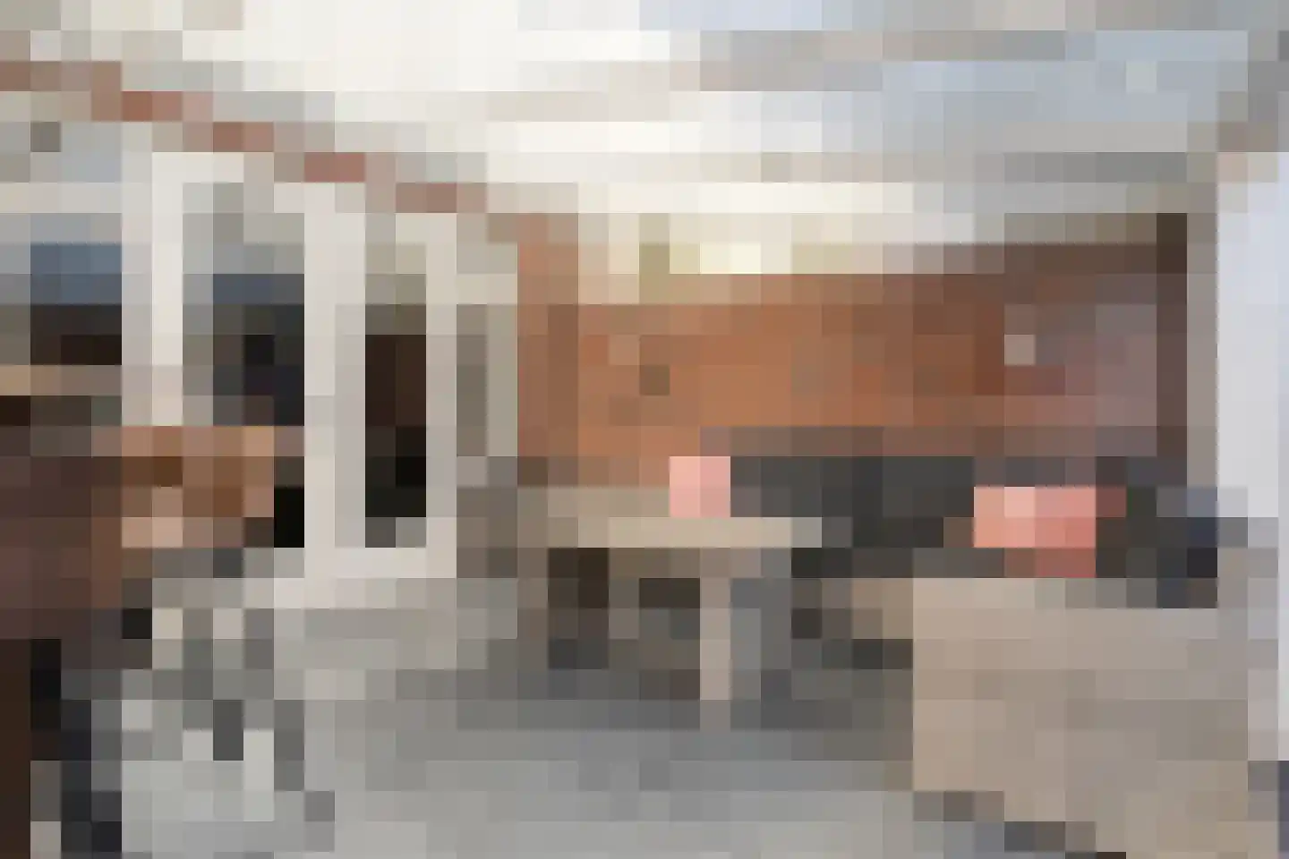Wierdensestraat 121 Rijssen thumbnail 54