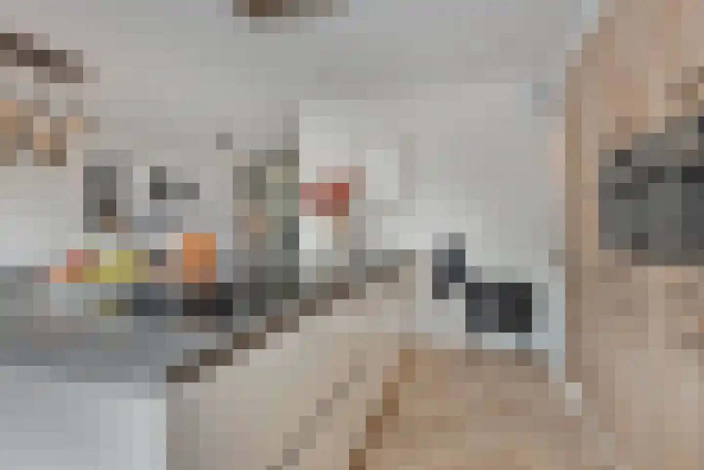 Wierdensestraat 123 Rijssen thumbnail 10