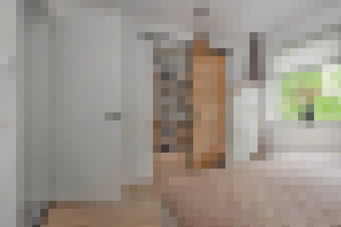 Wierdensestraat 123 Rijssen thumbnail 15