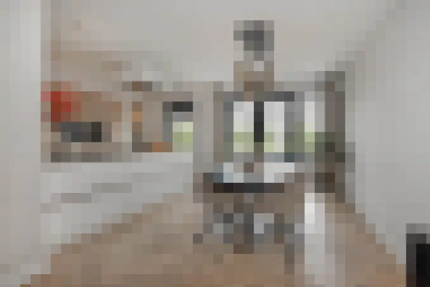 Wierdensestraat 123 Rijssen thumbnail 8